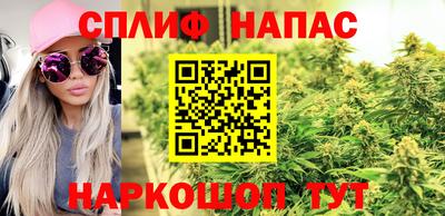 индика Пугачёв