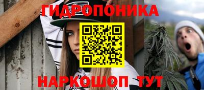 крисы Пыть-Ях