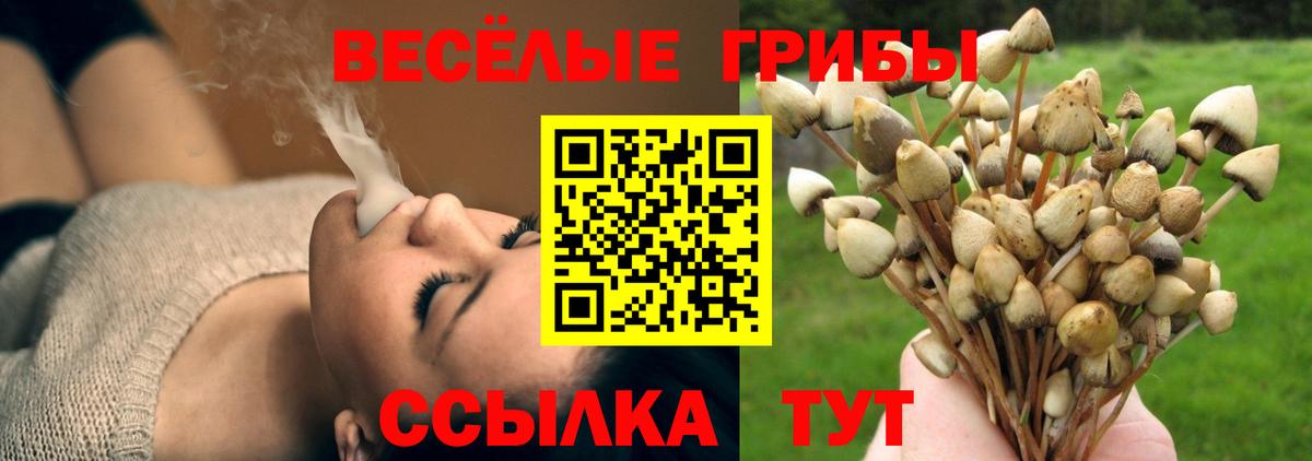 Ногинск  Псилоцибиновые грибы ЛСД  Вход с VPN 